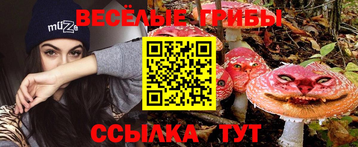 Псилоцибиновые грибы GOLDEN TEACHER Вятские Поляны