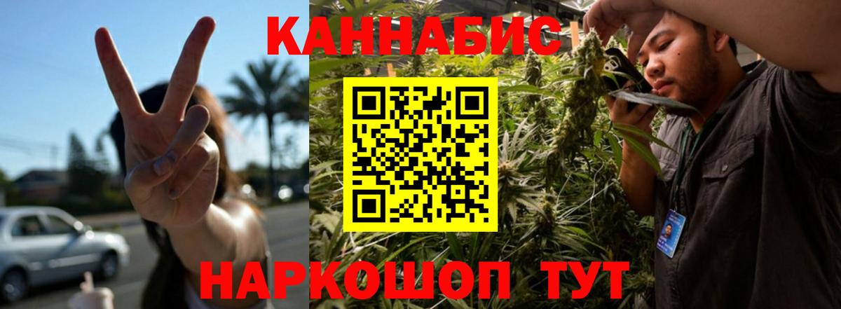 Бошки Шишки сатива  Вход с VPN  Вятские Поляны  Бошки Шишки VHQ 
